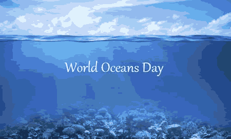 2024年世界海洋日倒计时 - 距离2024年世界海洋日还有多少天 - 2024年世界海洋日是几月几号 - 世界海洋日倒数